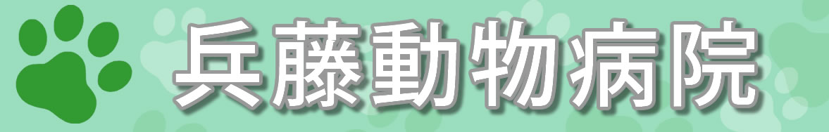 兵藤動物病院 ｜ 神奈川県横浜市の動物病院